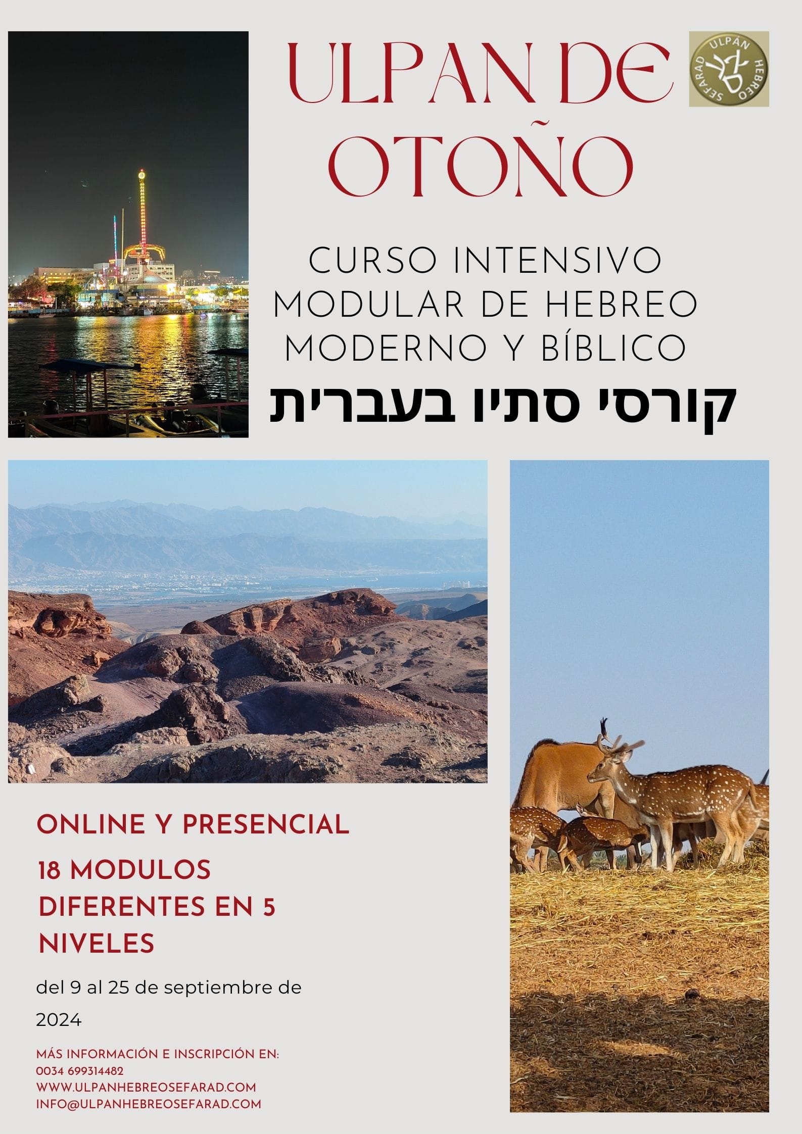 Curso Intensivo Modular de Hebreo: Otoño 2024